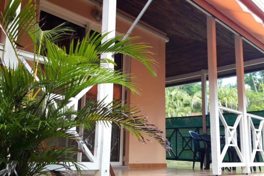Résidence Ti'Kéol - Appartements avec terrasse 2 à 4 personnes, piscine Sainte-Anne Esterno foto
